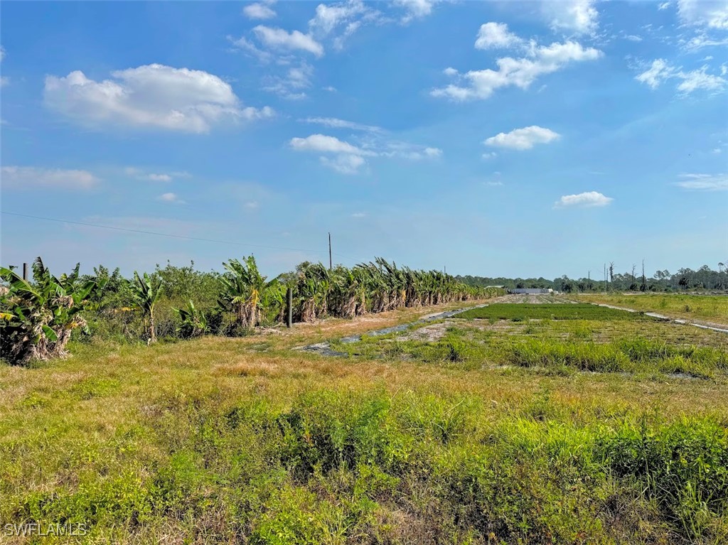 2521 Christopher Lane Clewiston, FL 33440 - Photo 8 of 33