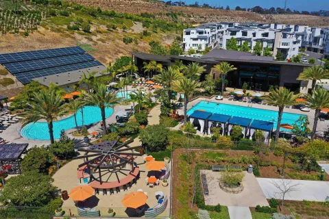 a view of a garden with tall trees