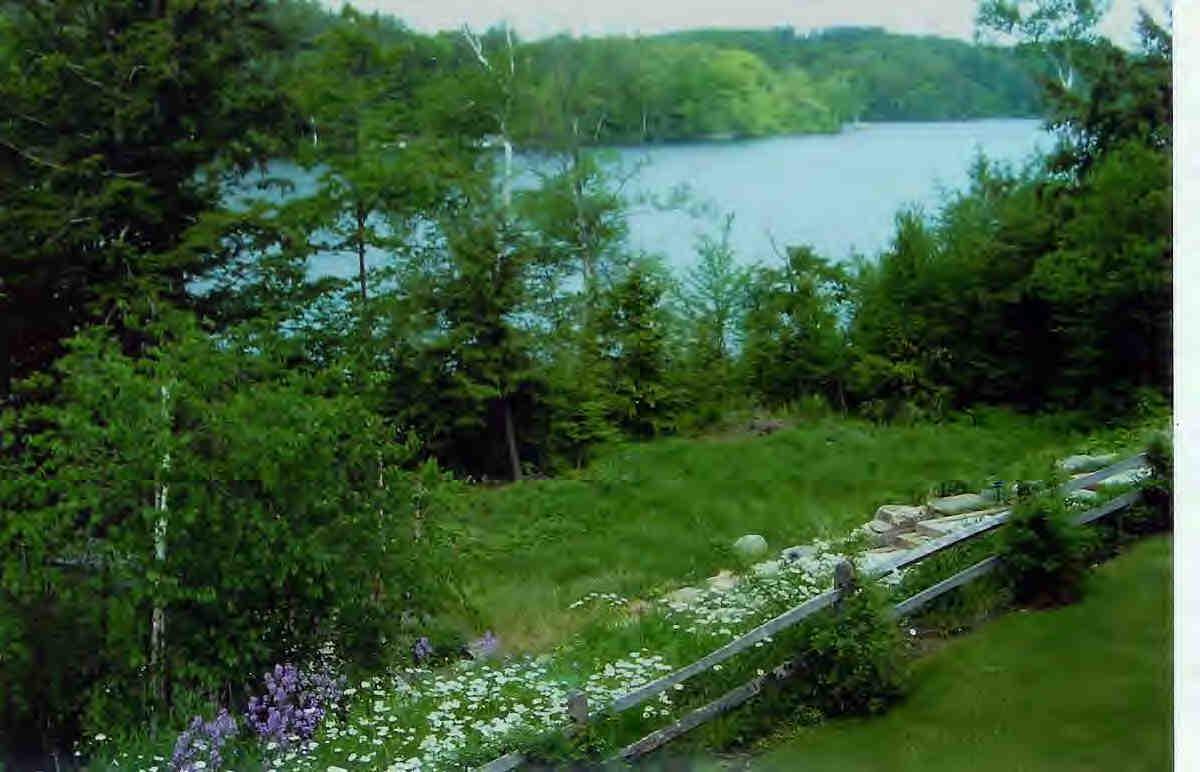 56 Elephant Rock Road Monterey, MA 01245 - Photo 5 of 9 a view of a lake with a house