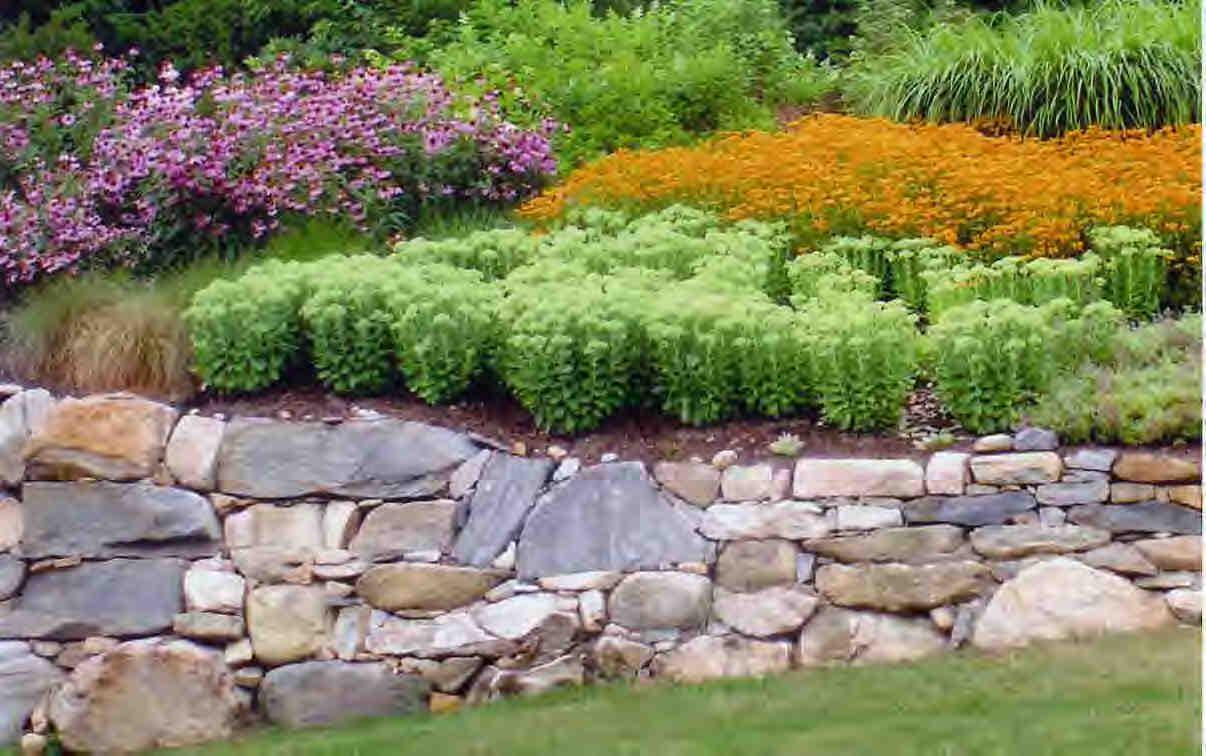 56 Elephant Rock Road Monterey, MA 01245 - Photo 8 of 9 a backyard of a house with lots of green space and lake view