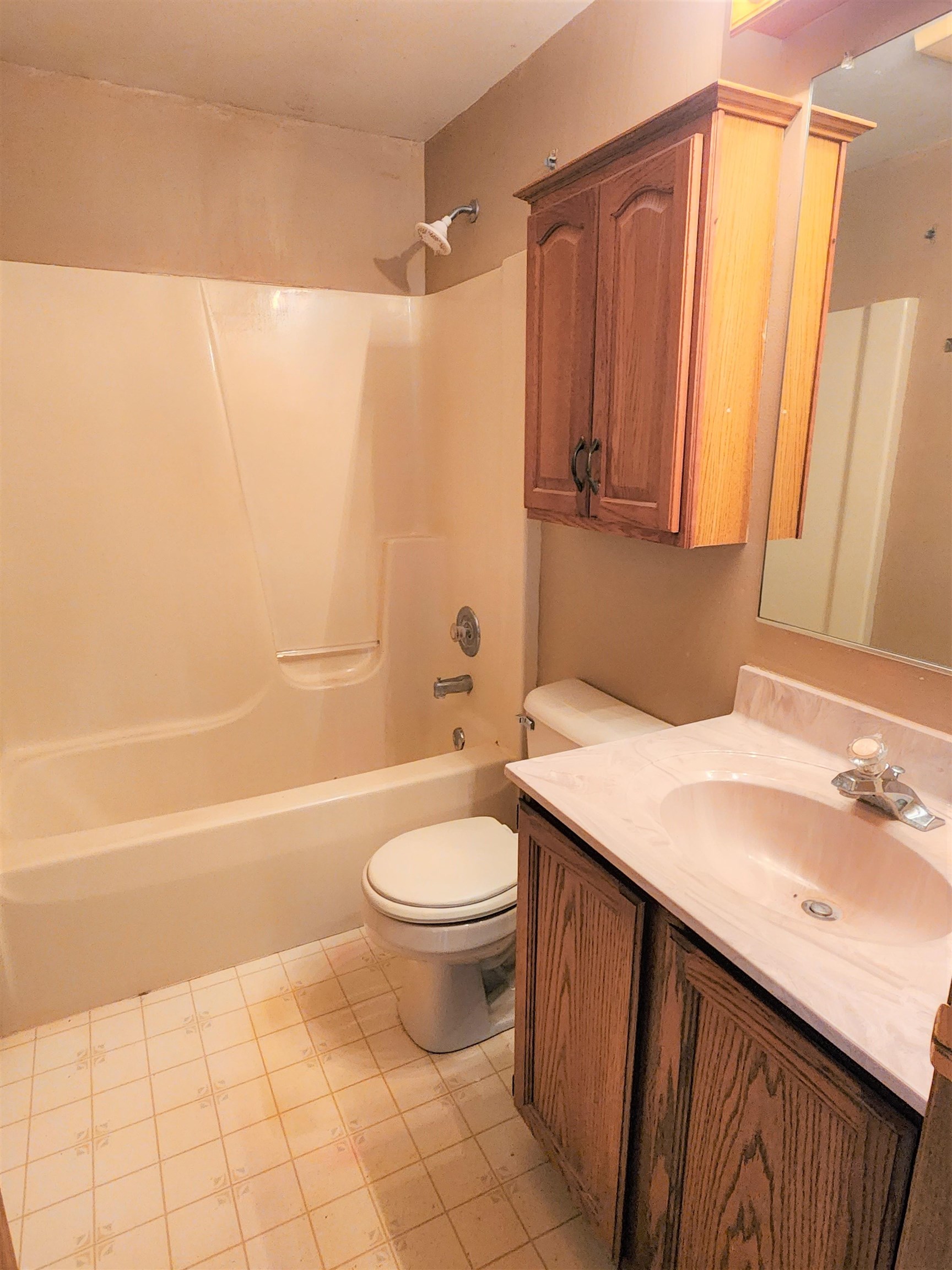 3443 Eddie Road Winnebago, IL 61088 - Photo 13 of 29 a bathroom with a sink a toilet and shower