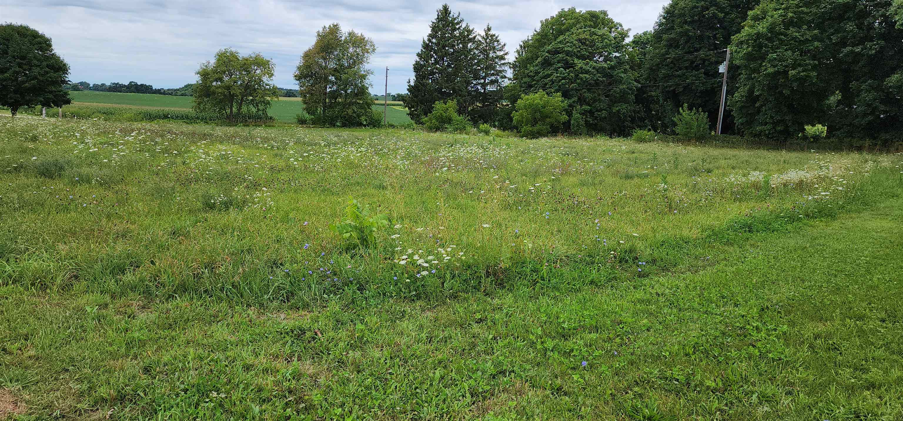 3443 Eddie Road Winnebago, IL 61088 - Photo 4 of 29 a view of a field of grass and trees