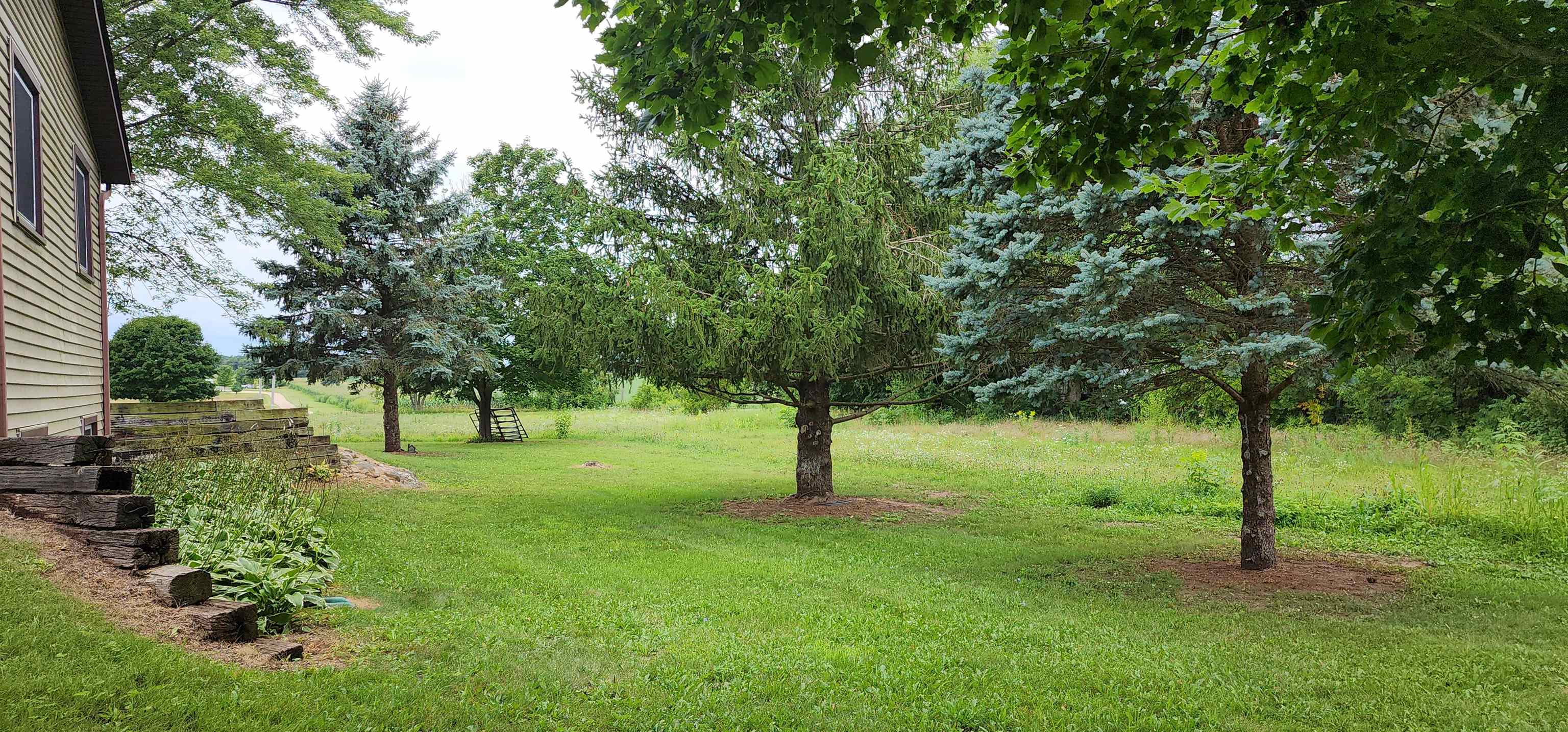 3443 Eddie Road Winnebago, IL 61088 - Photo 9 of 29 a view of a tree in a yard