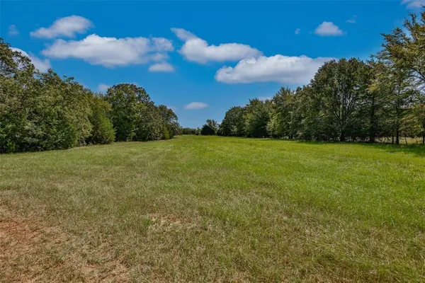 a view of a field with an trees in the background
