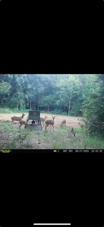 a view of a yard with an outdoor space