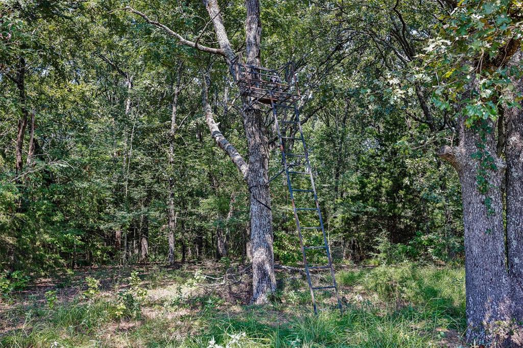 240 Magnolia Lane Bennington, OK 74723 - Photo 16 of 39 a view of forest