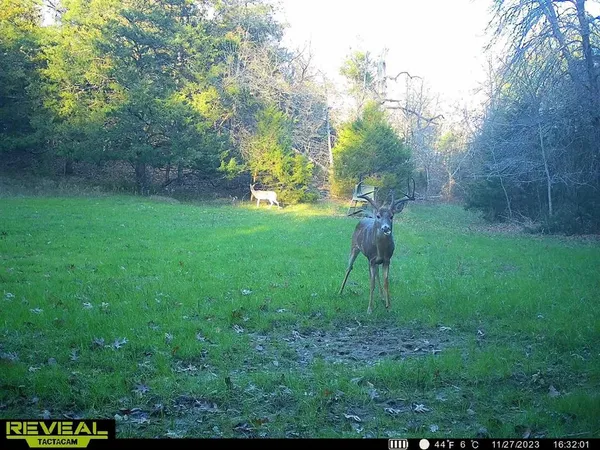 a backyard of a house with lots of green space