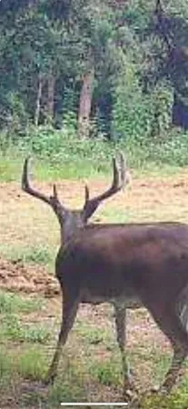 a view of a water pond