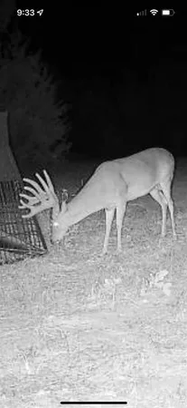 a backyard of a house