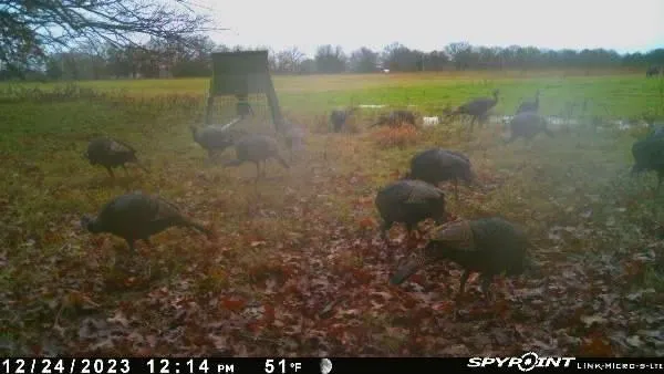 a view of a lake from a yard