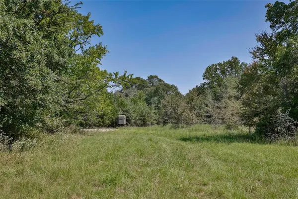 a view of a green field with lots of bushes