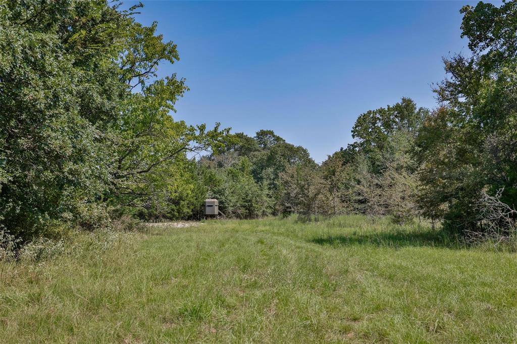 240 Magnolia Lane Bennington, OK 74723 - Photo 8 of 39 a view of a green field with lots of bushes