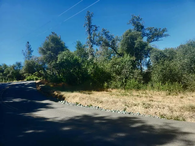 a view of a yard with trees