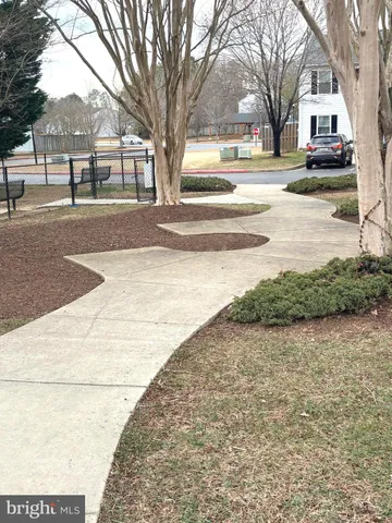 a street view with large trees