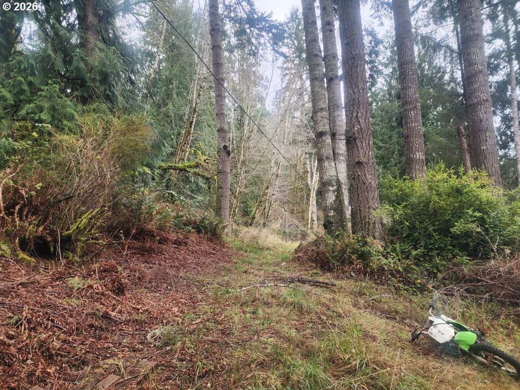 3117 South Tenmile Lakeside, OR 97449 - Photo 18 of 33 a view of a yard with trees