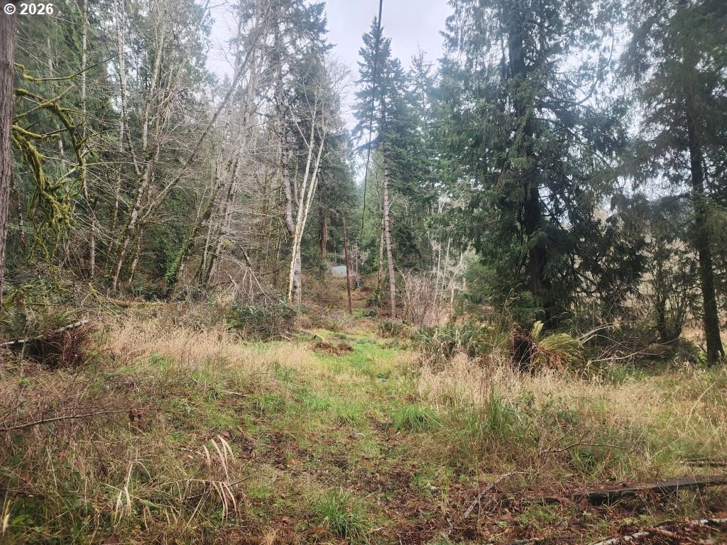 3117 South Tenmile Lakeside, OR 97449 - Photo 19 of 33 a view of a forest with trees in the background