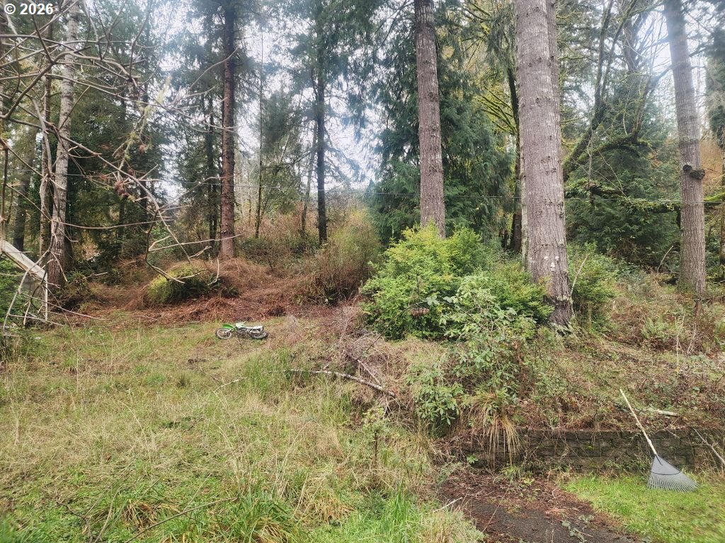 3117 South Tenmile Lakeside, OR 97449 - Photo 27 of 33 a view of a yard with plants and trees