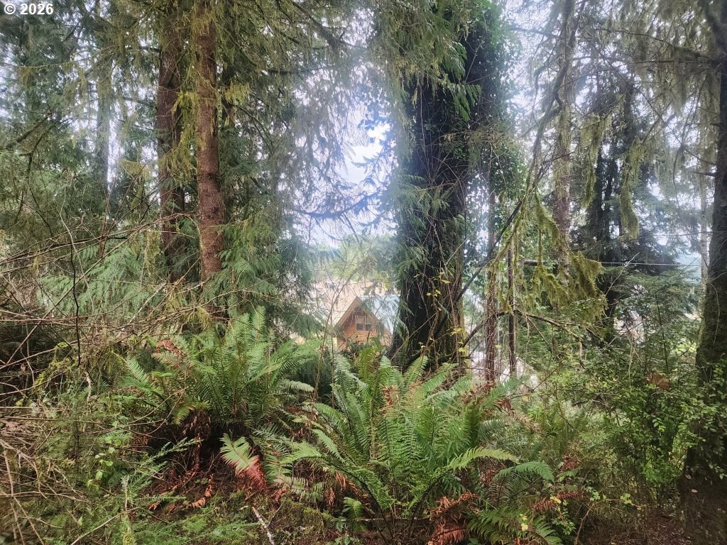 3117 South Tenmile Lakeside, OR 97449 - Photo 3 of 33 a view of a tree in a yard