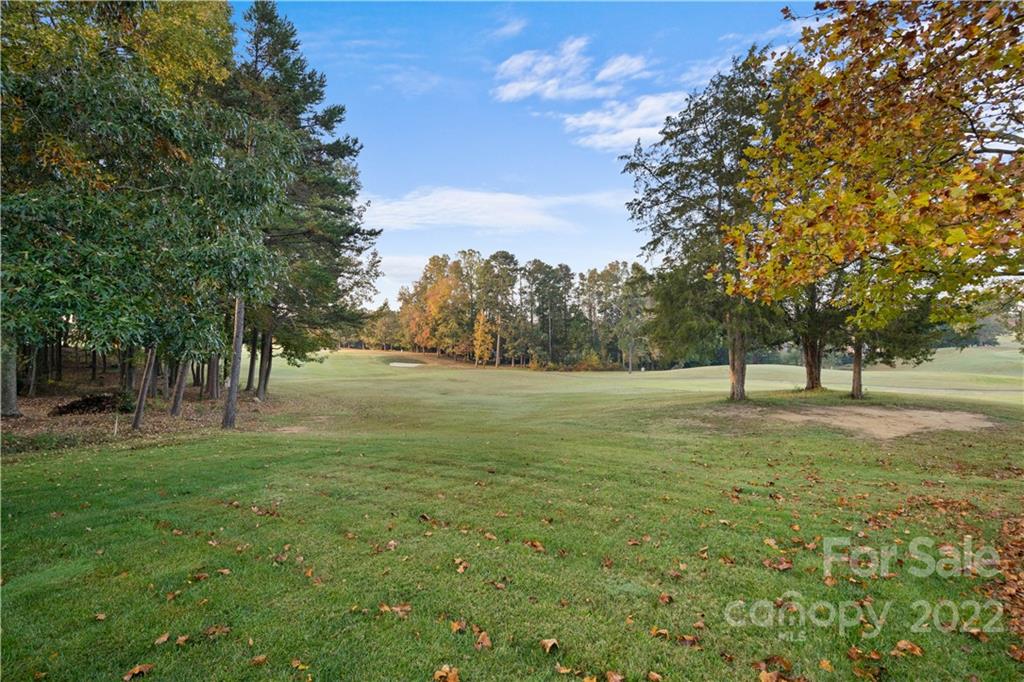 13306 Fremington Road Huntersville, NC 28078 - Photo 33 of 40 Gallery Image 33