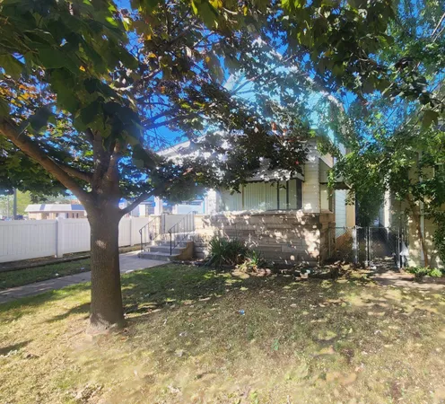 a view of a yard with plants and trees