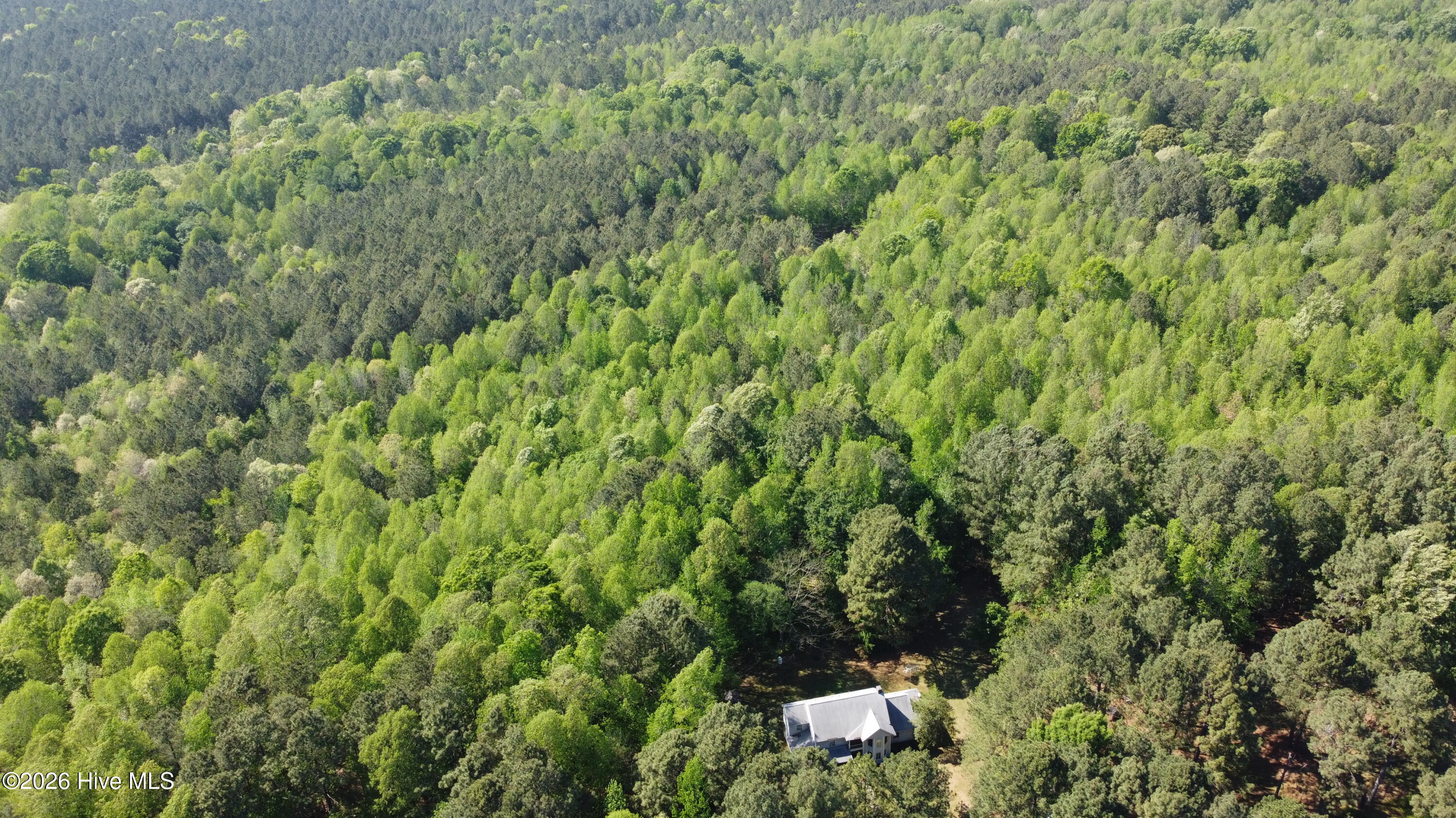 7818 McGregor Road Nashville, NC 27856 - Photo 50 of 65 DJI_0012