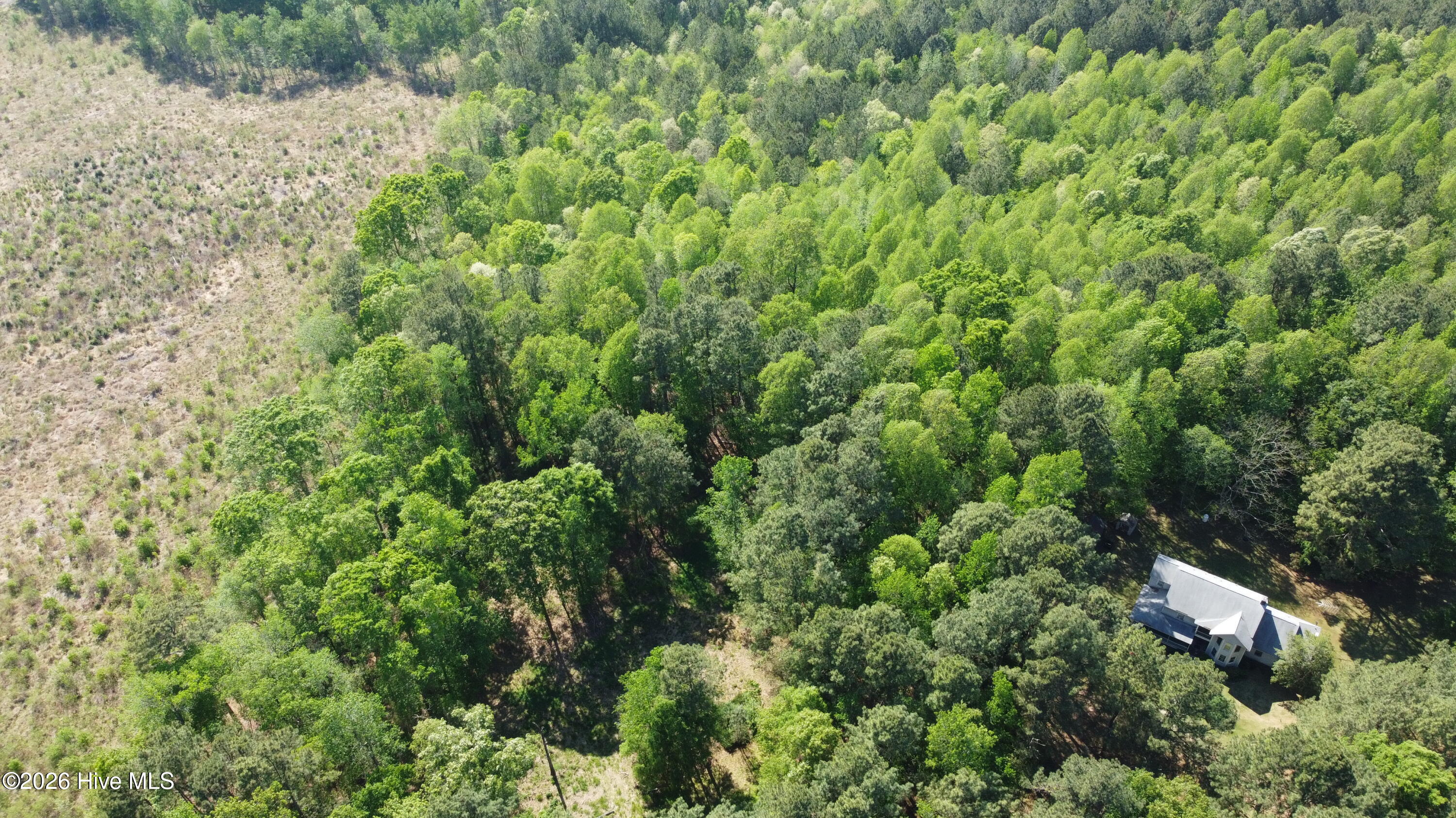 7818 McGregor Road Nashville, NC 27856 - Photo 51 of 65 DJI_0013