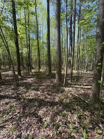 $550,000 | 7818 McGregor Road, Nashville, NC 27856