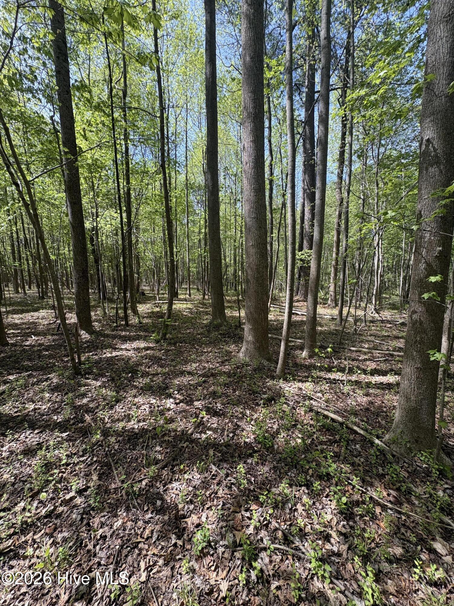 7818 McGregor Road Nashville, NC 27856 - Photo 56 of 65 IMG_2426