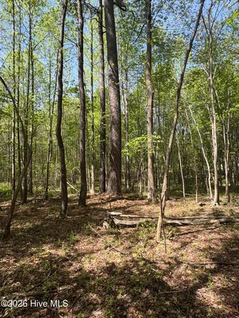 $550,000 | 7818 McGregor Road, Nashville, NC 27856