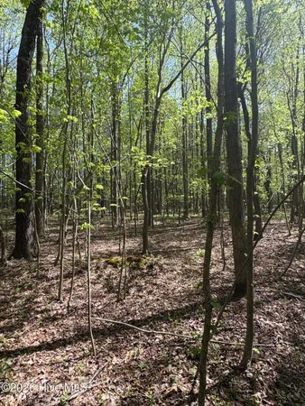 $550,000 | 7818 McGregor Road, Nashville, NC 27856