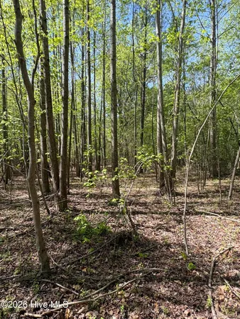$550,000 | 7818 McGregor Road, Nashville, NC 27856