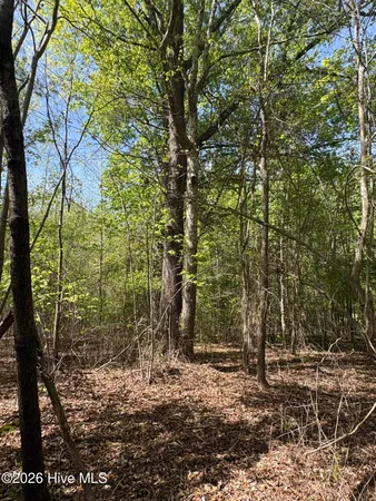 $550,000 | 7818 McGregor Road, Nashville, NC 27856