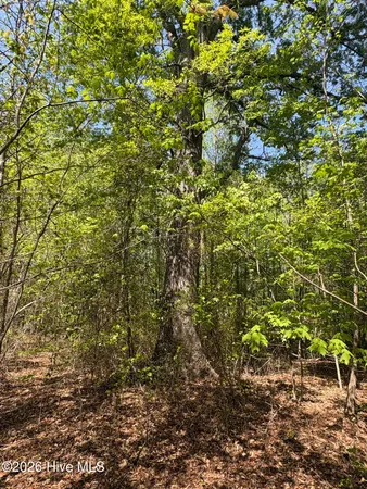 $550,000 | 7818 McGregor Road, Nashville, NC 27856