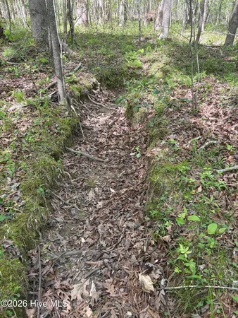 $550,000 | 7818 McGregor Road, Nashville, NC 27856