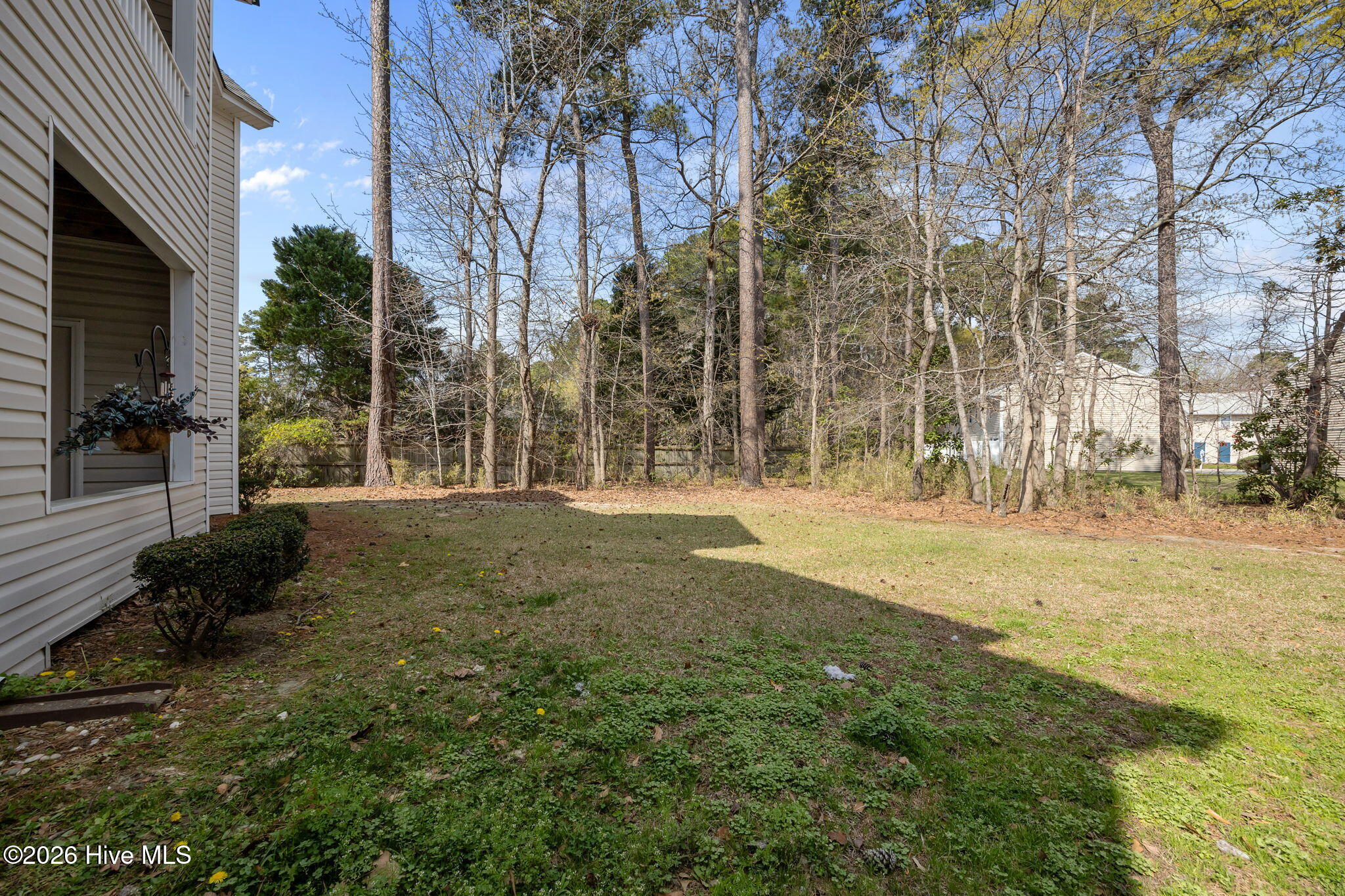 1121 Turtle Creek Road, Unit B Greenville, NC 27858 - Photo 53 of 55 53-web-or-mls-IMG_9596