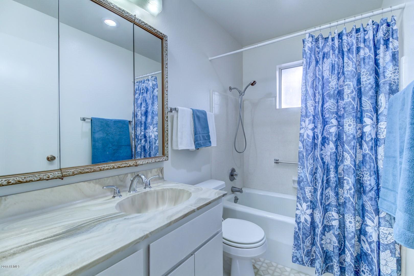 6664 East Decatur Street Mesa, AZ 85205 - Photo 11 of 44 Hall bath