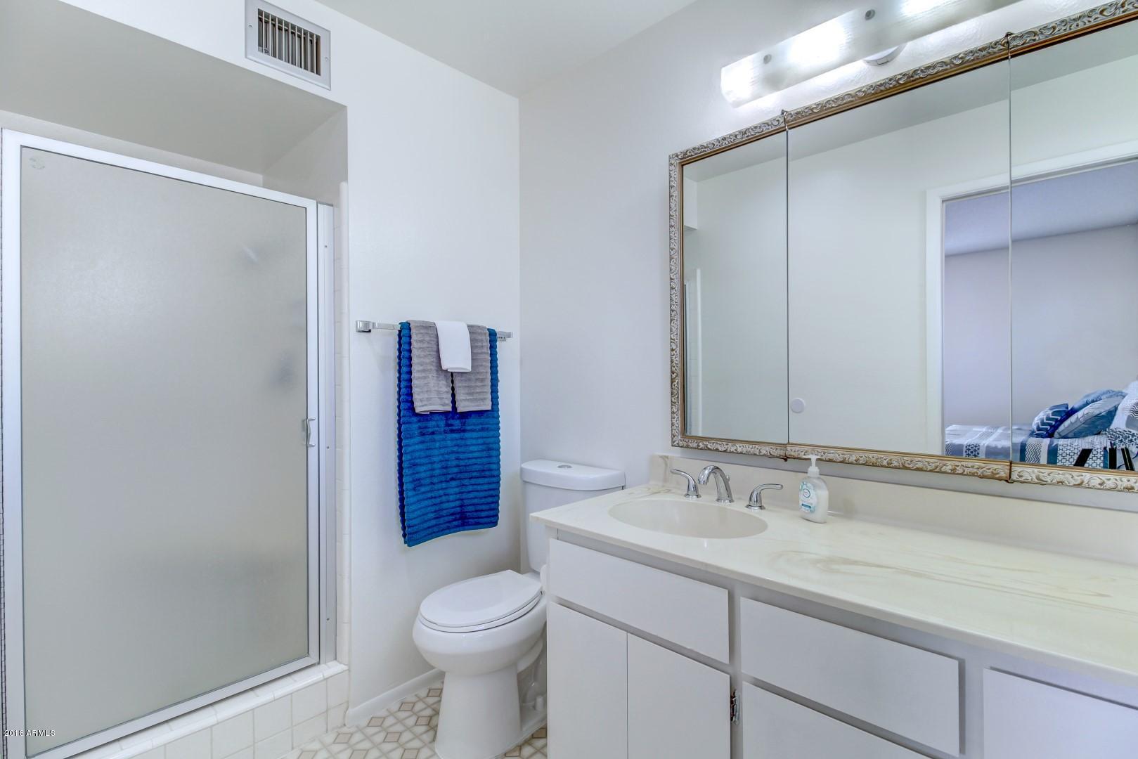 6664 East Decatur Street Mesa, AZ 85205 - Photo 16 of 44 Walk in shower