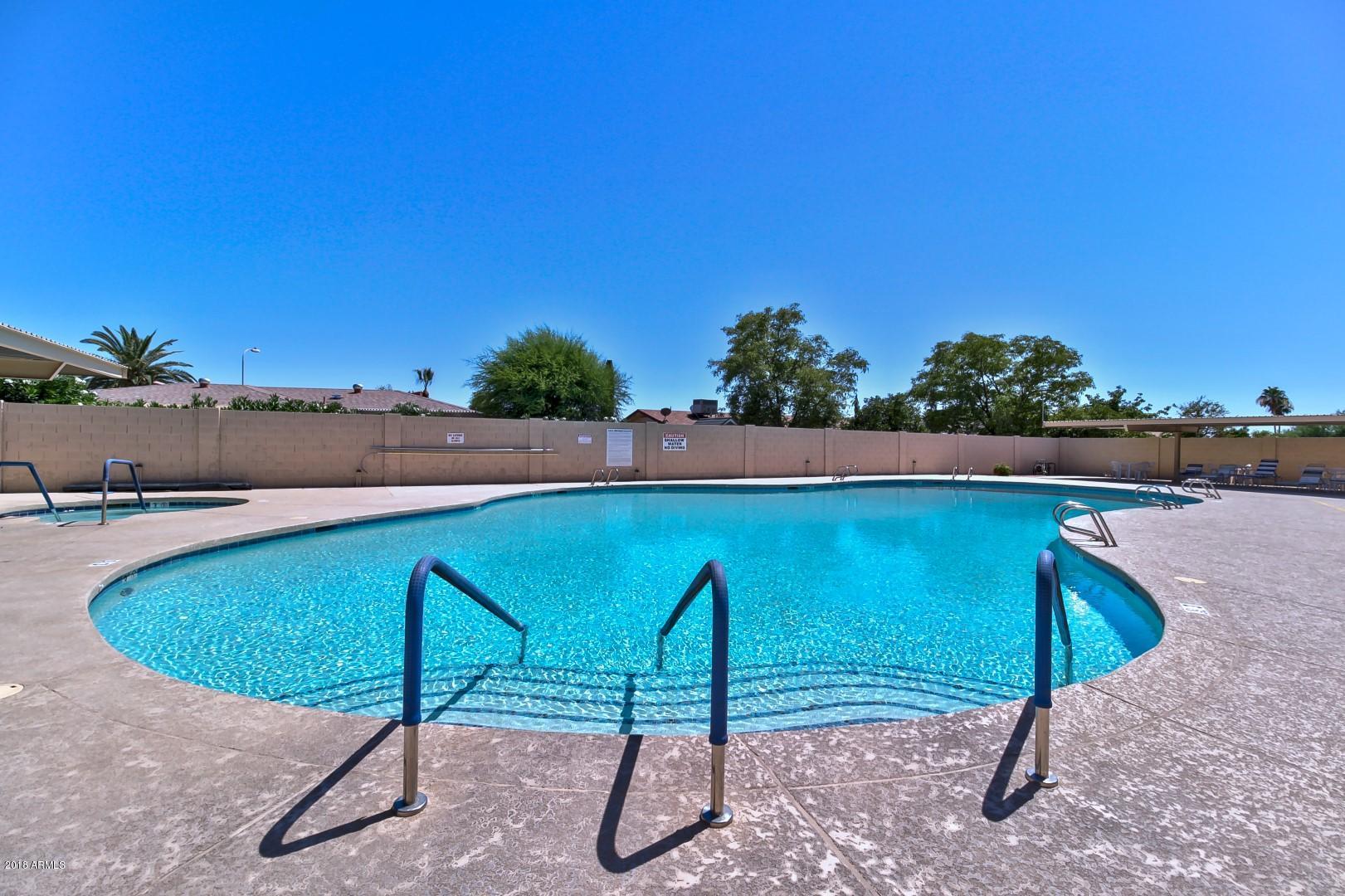 6664 East Decatur Street Mesa, AZ 85205 - Photo 40 of 44 FH Pool