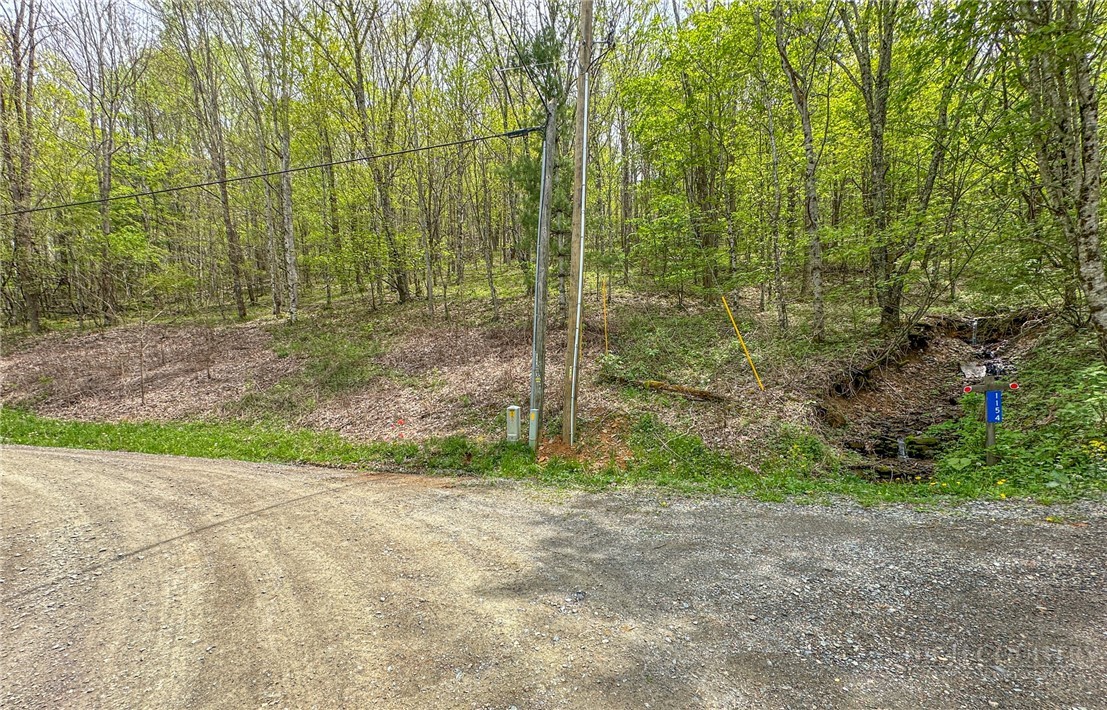 Silverleaf Road Zionville, NC 28698 - Photo 6 of 25
