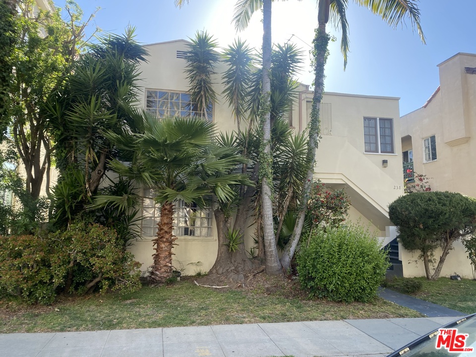 a view of a yard and palm trees