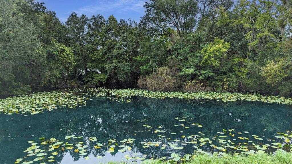 25212 Luke Street Christmas, FL 32709 - Photo 11 of 26 a view of a lake with a yard