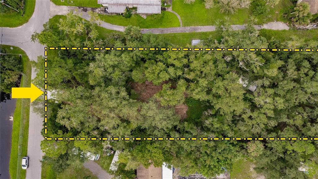 25212 Luke Street Christmas, FL 32709 - Photo 14 of 26 an aerial view of residential houses with outdoor space and trees