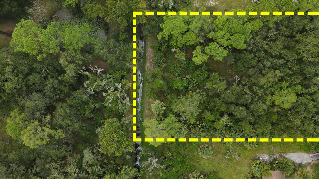 25212 Luke Street Christmas, FL 32709 - Photo 15 of 26 a view of a back yard