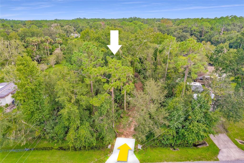 25212 Luke Street Christmas, FL 32709 - Photo 3 of 26