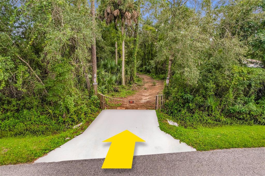 25212 Luke Street Christmas, FL 32709 - Photo 4 of 26 a view of a backyard with swimming pool