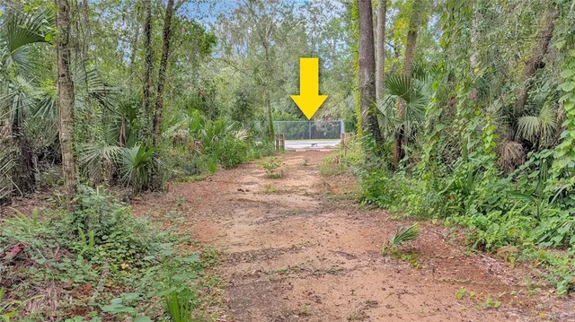 a view of a lake with a yard
