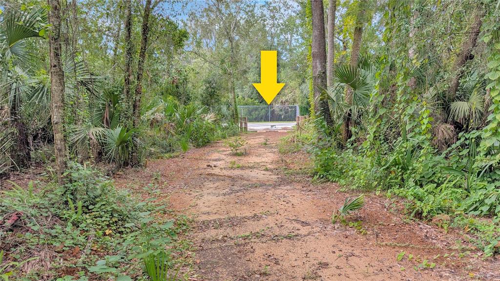 25212 Luke Street Christmas, FL 32709 - Photo 7 of 26 a view of a forest