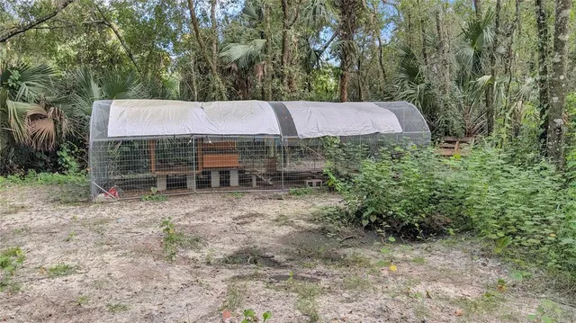 a aerial view of a house with swimming pool and large trees