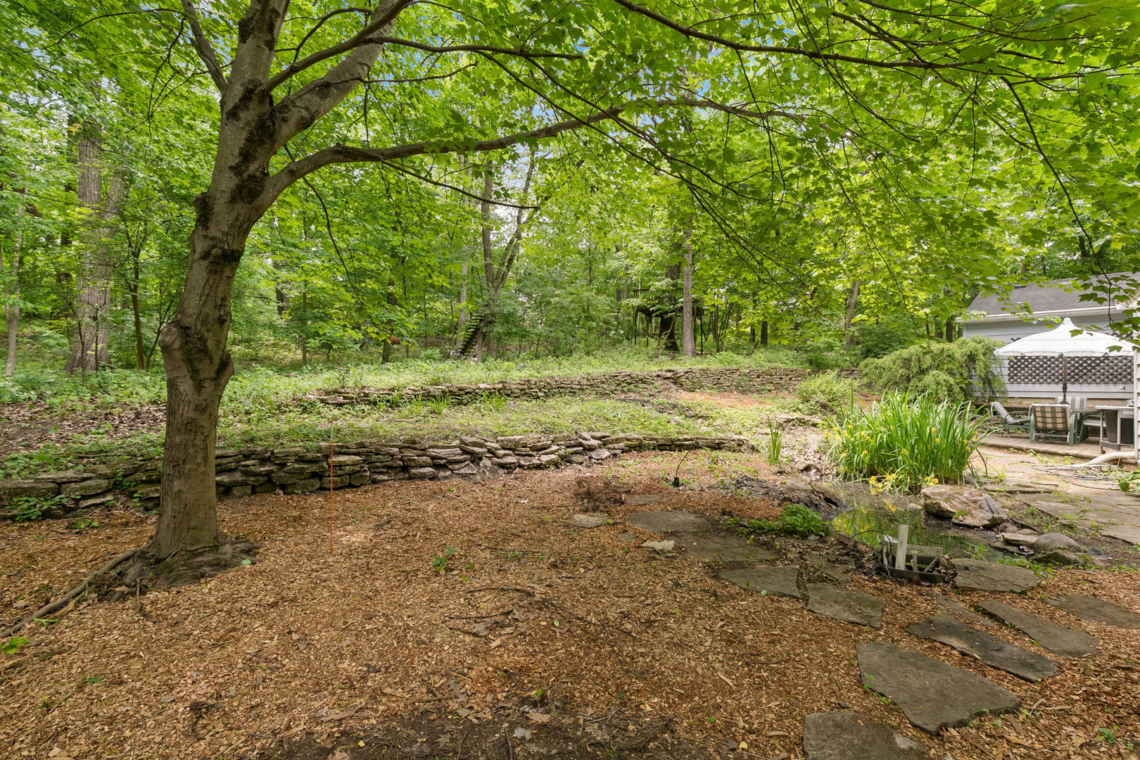 36W525 Wild Rose Road St. Charles, IL 60174 - Photo 33 of 39 a view of a yard with a tree