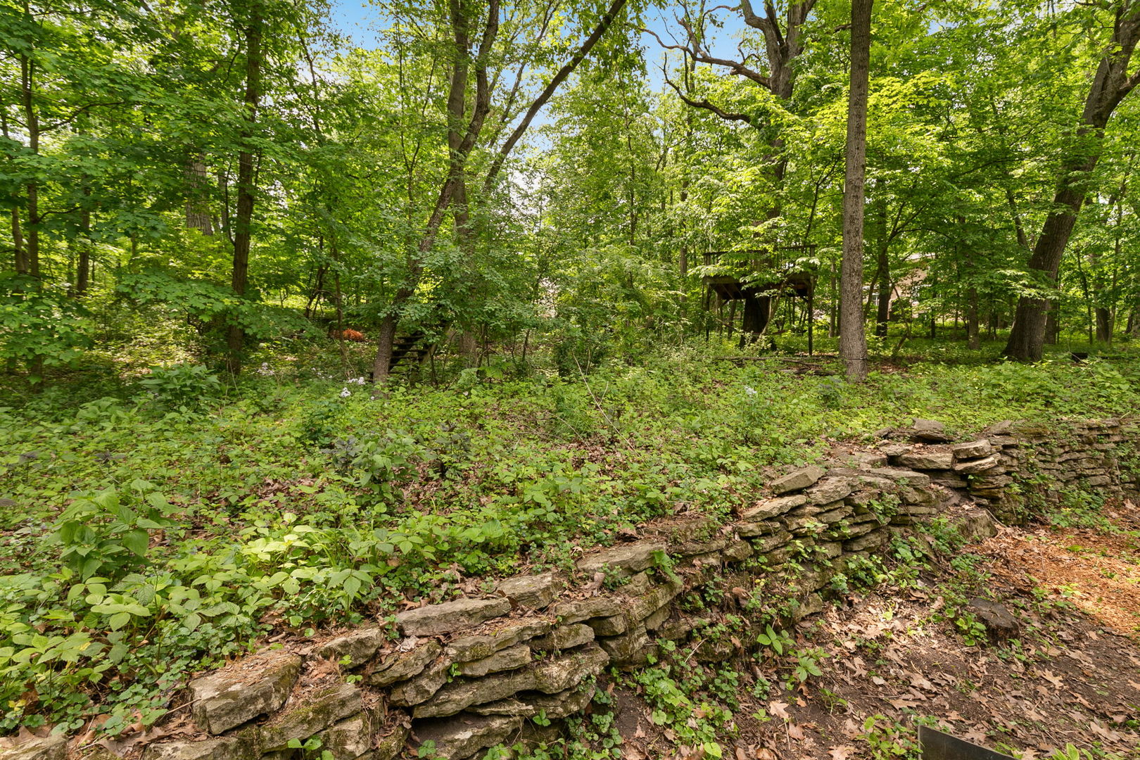 36W525 Wild Rose Road St. Charles, IL 60174 - Photo 34 of 39 a view of a garden with a tree